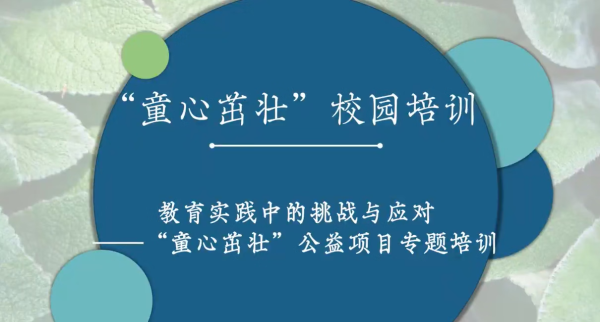 股票杠杆开户 京东健康“童心茁壮”公益项目面向全国16所学校开展在线公益培训