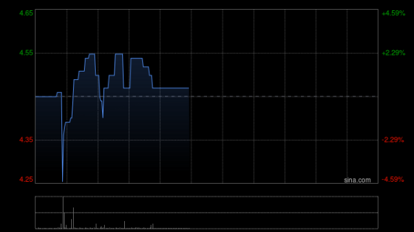 线上股票配资 脑动极光-B首挂上市 早盘平开