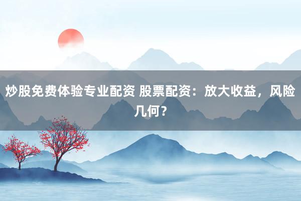 炒股免费体验专业配资 股票配资：放大收益，风险几何？