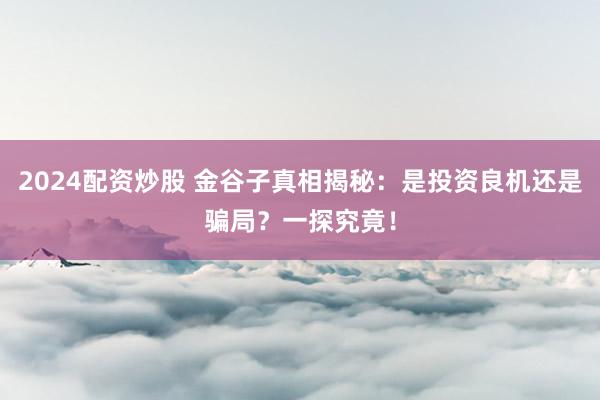 2024配资炒股 金谷子真相揭秘：是投资良机还是骗局？一探究竟！
