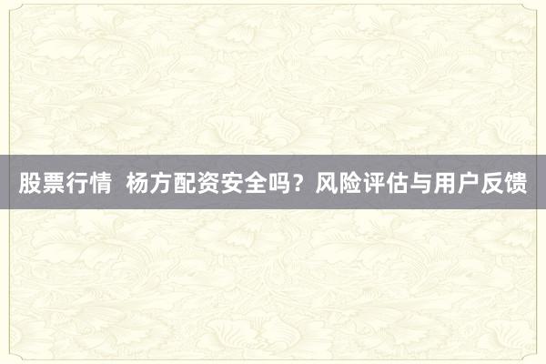股票行情  杨方配资安全吗？风险评估与用户反馈