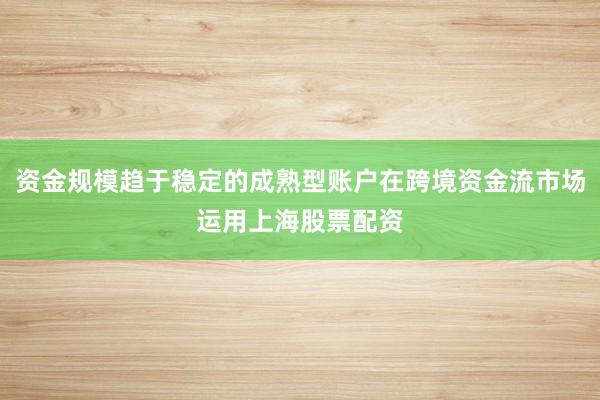 资金规模趋于稳定的成熟型账户在跨境资金流市场运用上海股票配资