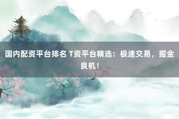 国内配资平台排名 T资平台精选:极速交易,掘金良机!