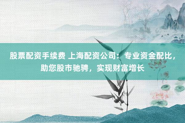 股票配资手续费 上海配资公司：专业资金配比，助您股市驰骋，实现财富增长
