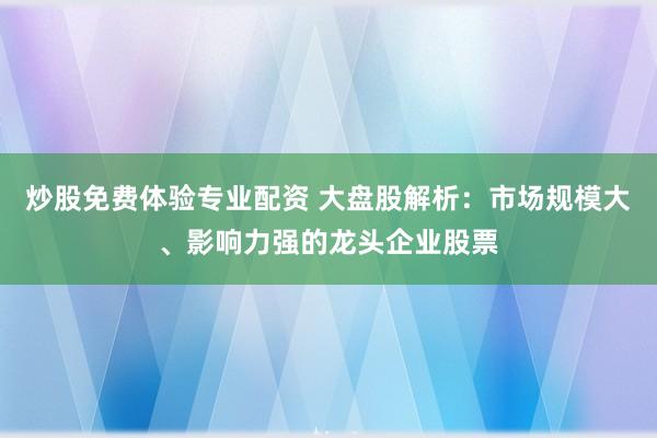 炒股免费体验专业配资 大盘股解析：市场规模大、影响力强的龙头企业股票